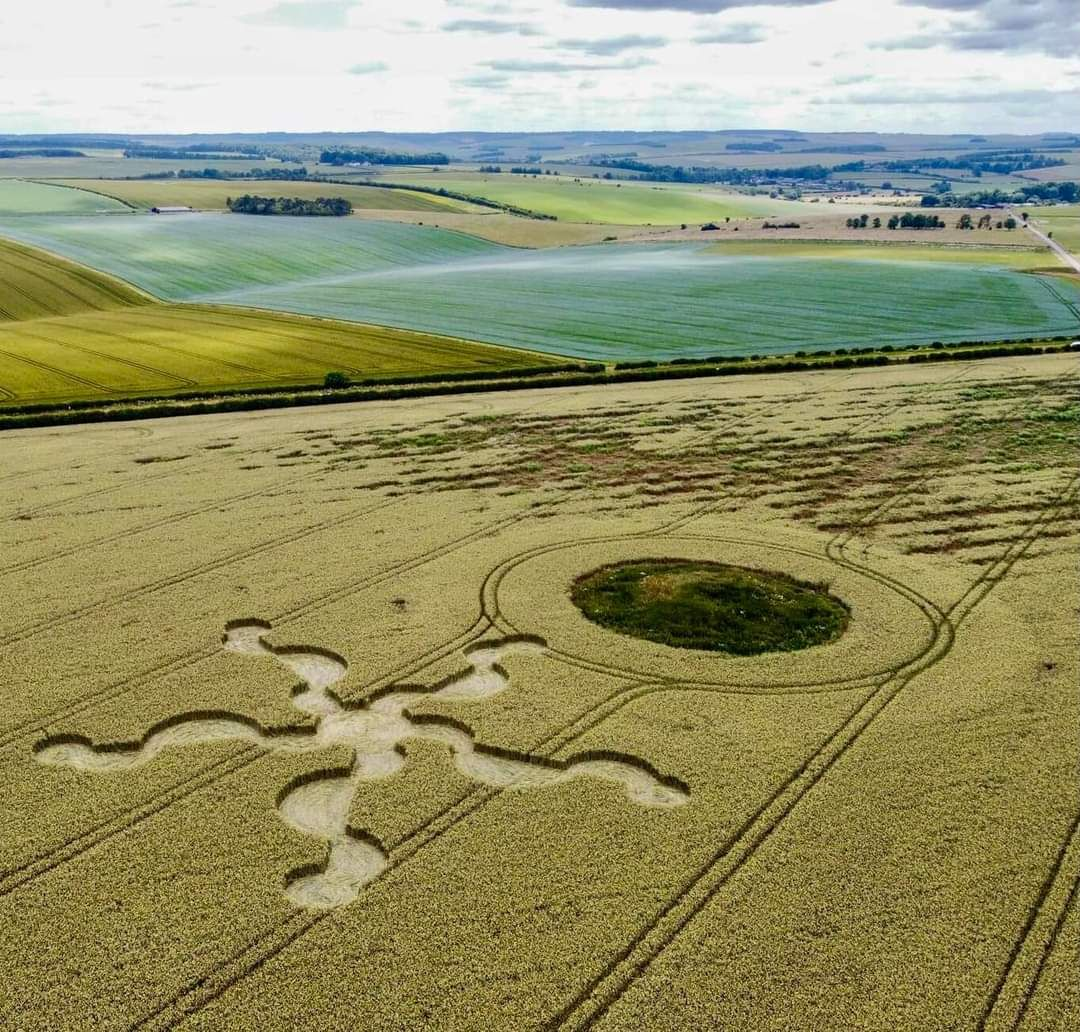 Conférence sur les agroglyphes — visuel événement