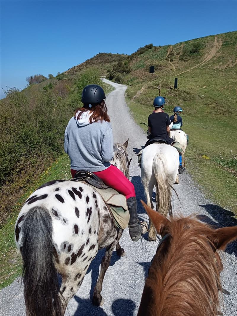 Les chevaux d'Iraty