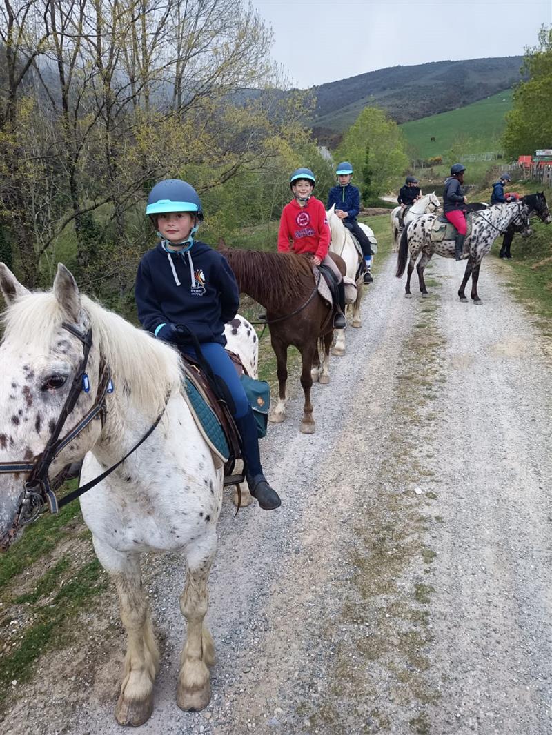 Les chevaux d'Iraty