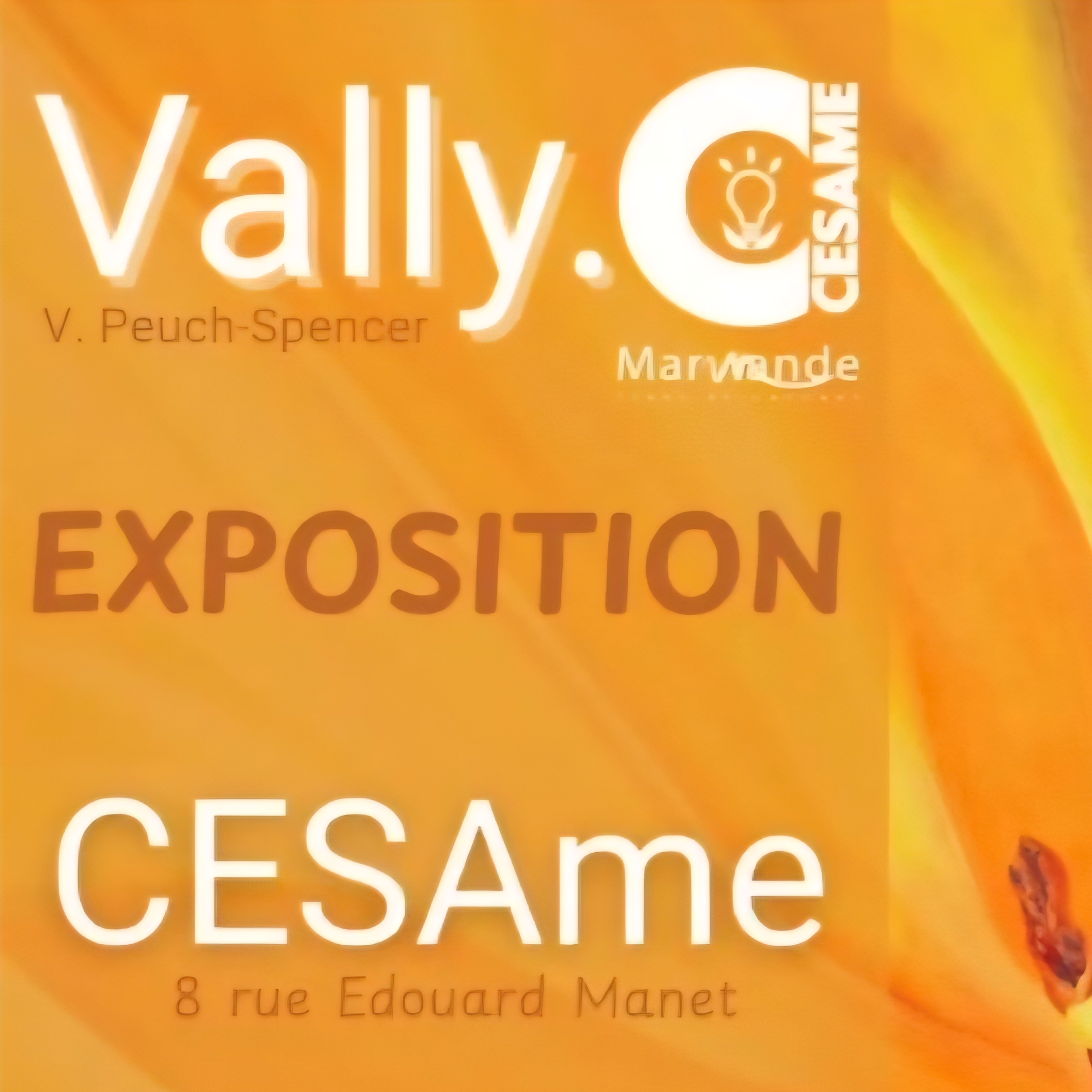 Exposition Vally à CESAme