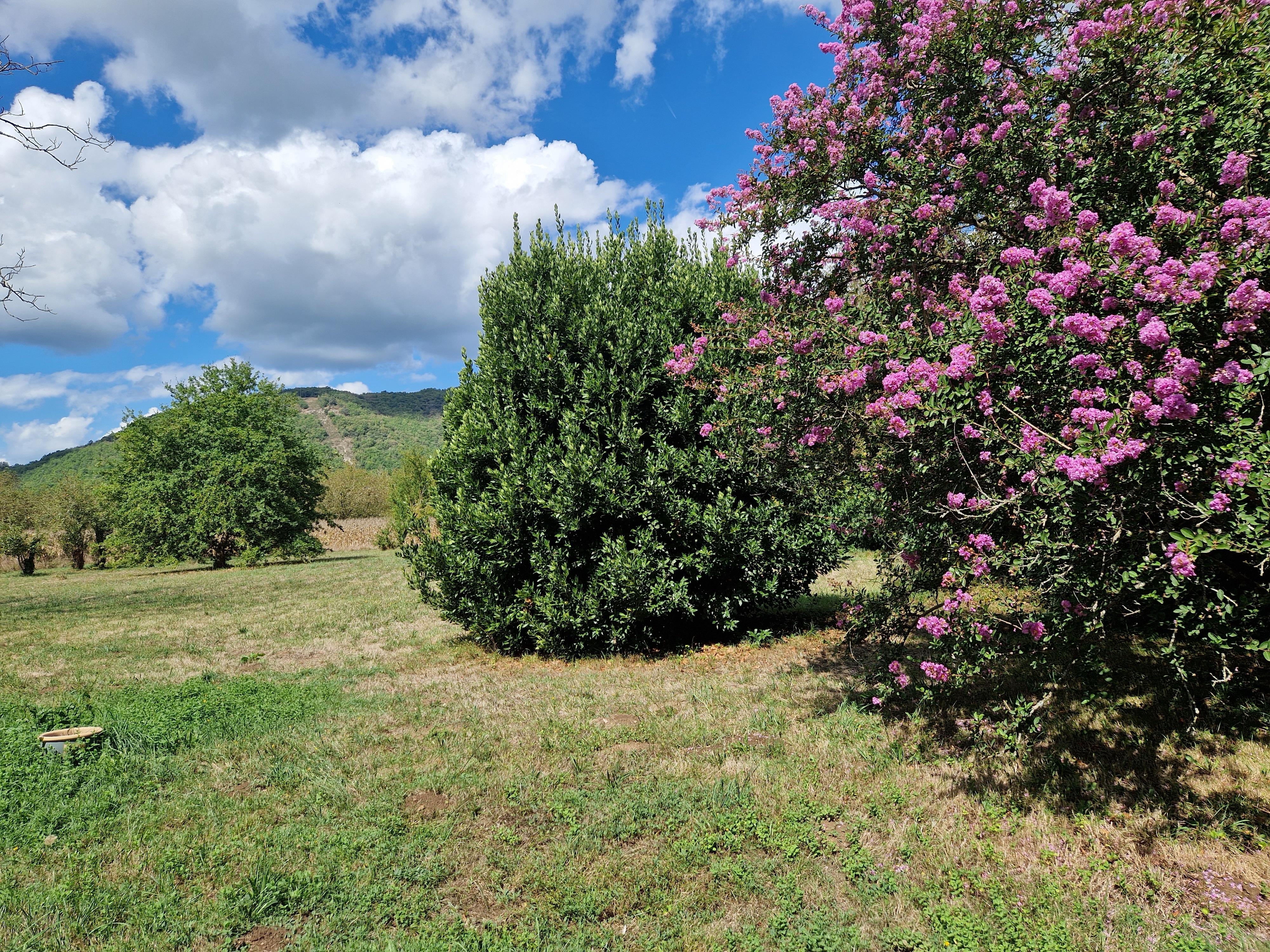 Domaine le Bouriage proche de Sarlat, Pechs-de-l'Espérance - photo 10