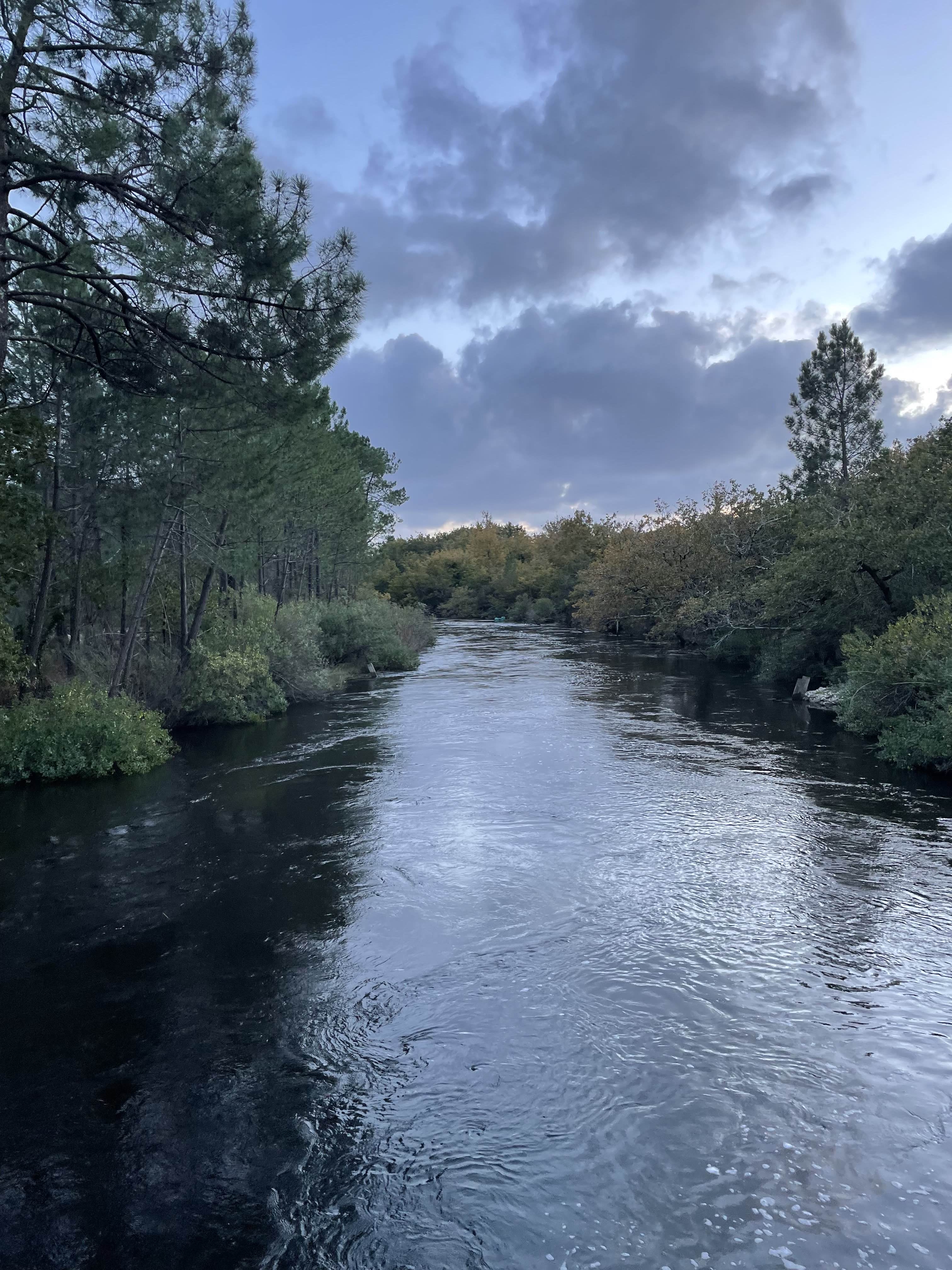Le canal des étangs - Lège