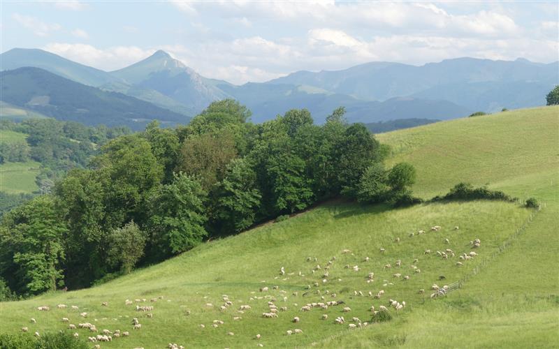 Ferme Iruleia