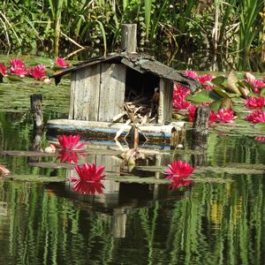 Jardins ouverts, pour le cerveau - La Prairie Enchantée, Exireuil