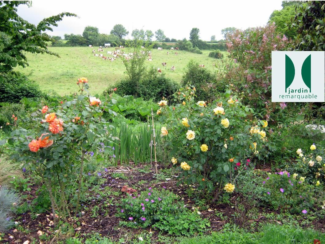 Jardins ouverts, pour le cerveau - La Prairie Enchantée, Exireuil - photo 3