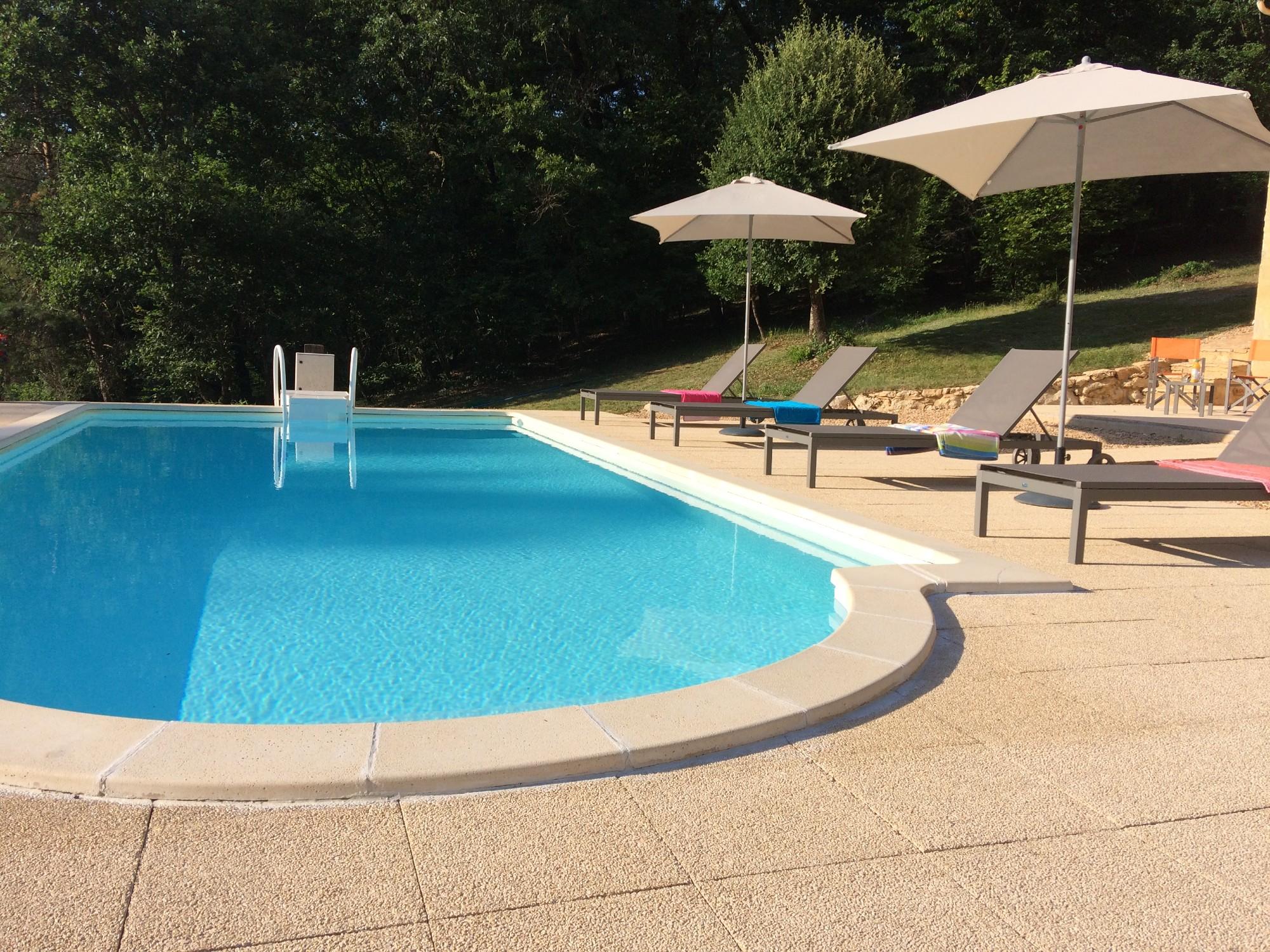 Fonchave avec sa piscine privée au nord de Sarlat, Saint-Léon-sur-Vézère - photo 3