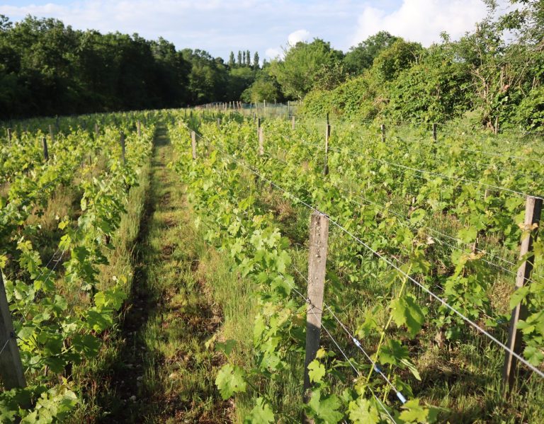 Domaine de Mauriet