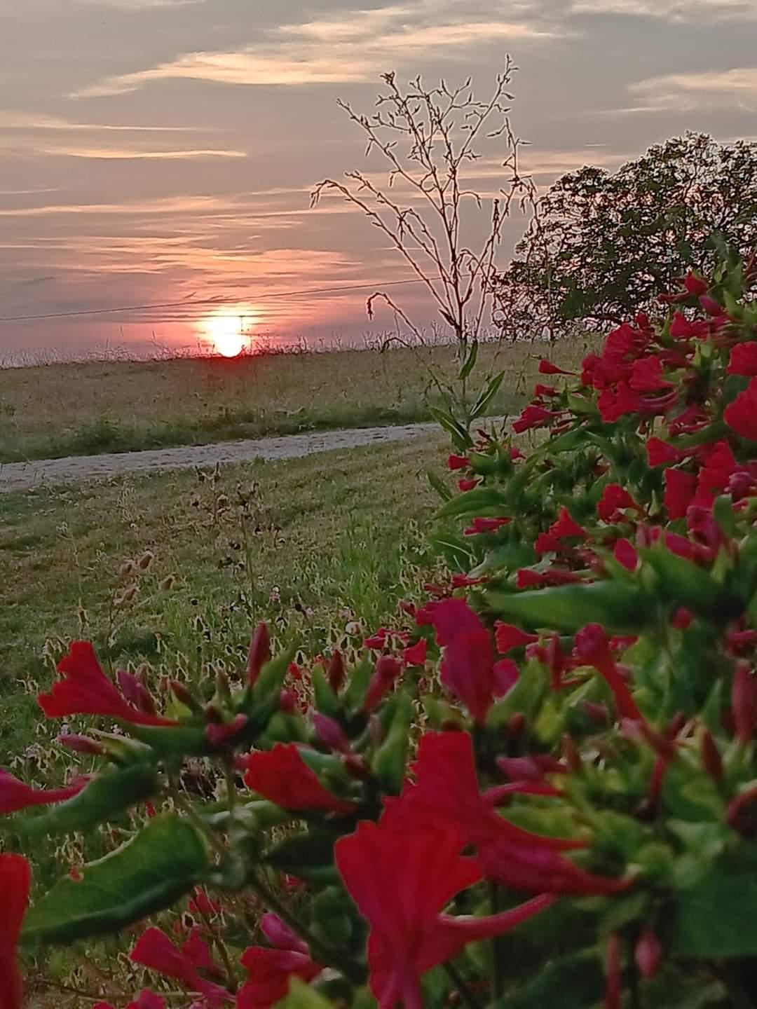 Pleine Fage piscine privée proche de Sarlat - photo 5