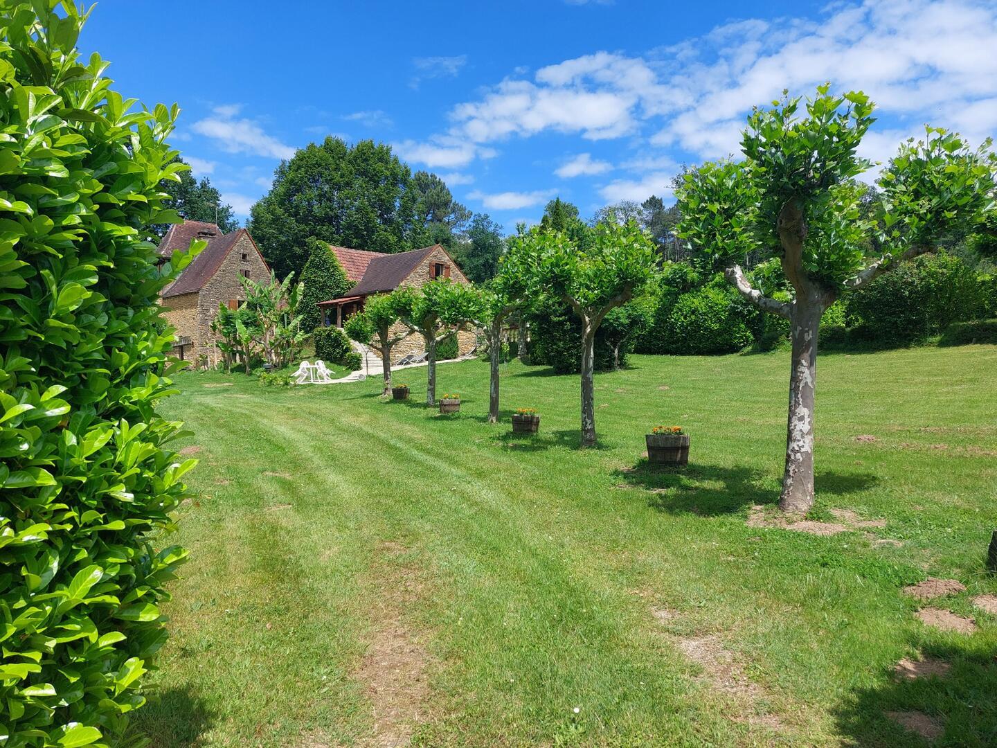 Les Platanes à Sarlat, Sarlat-la-Canéda - photo 2
