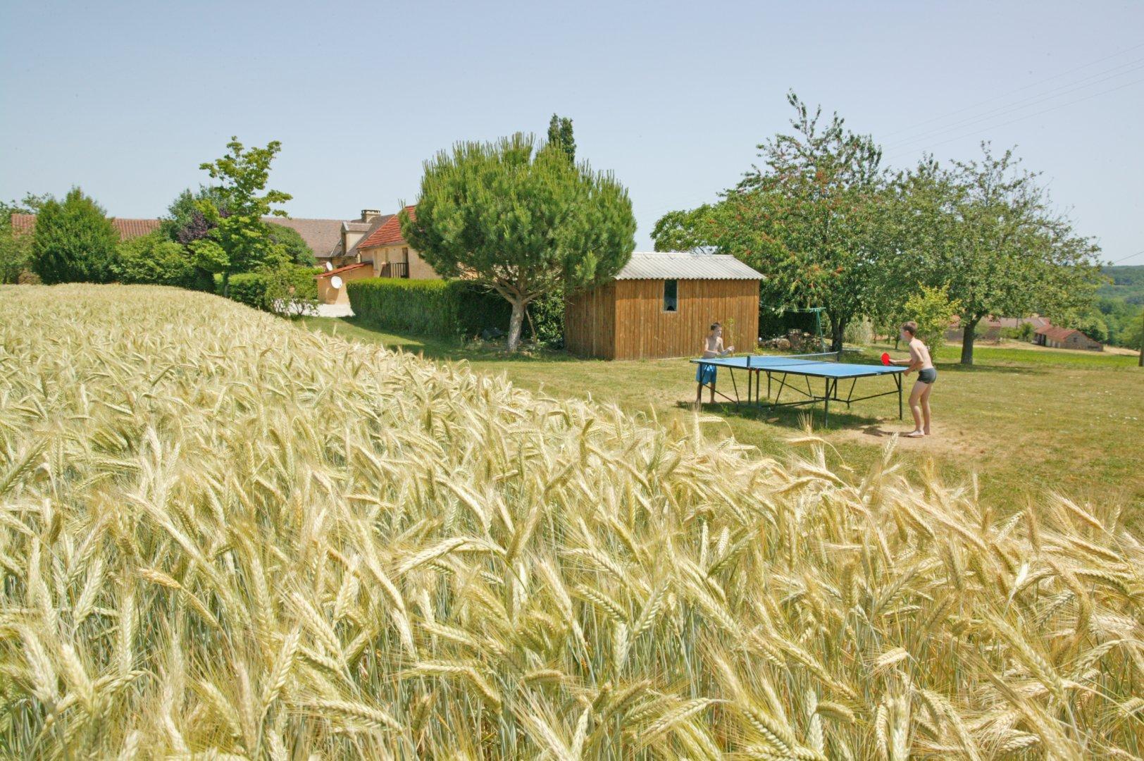 Gîte Hugan avec piscine privée proche Sarlat, Coly-Saint-Amand - photo 7