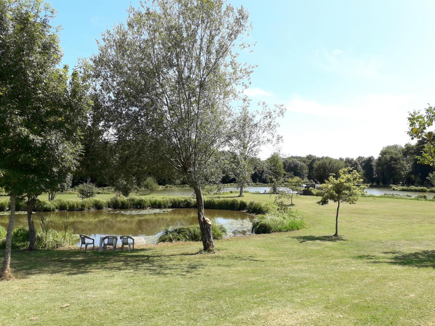Maison Alexia avec piscine proche de Sarlat, Saint-Vincent-le-Paluel - photo 19