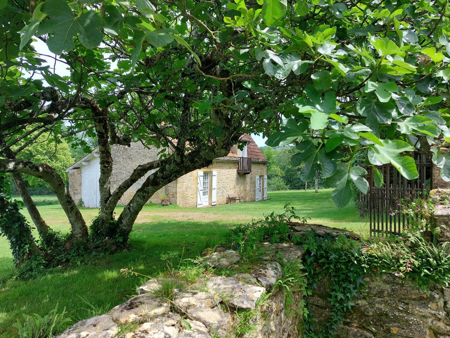La Petite Fumélie climatisée proche de Sarlat, Marquay - photo 12