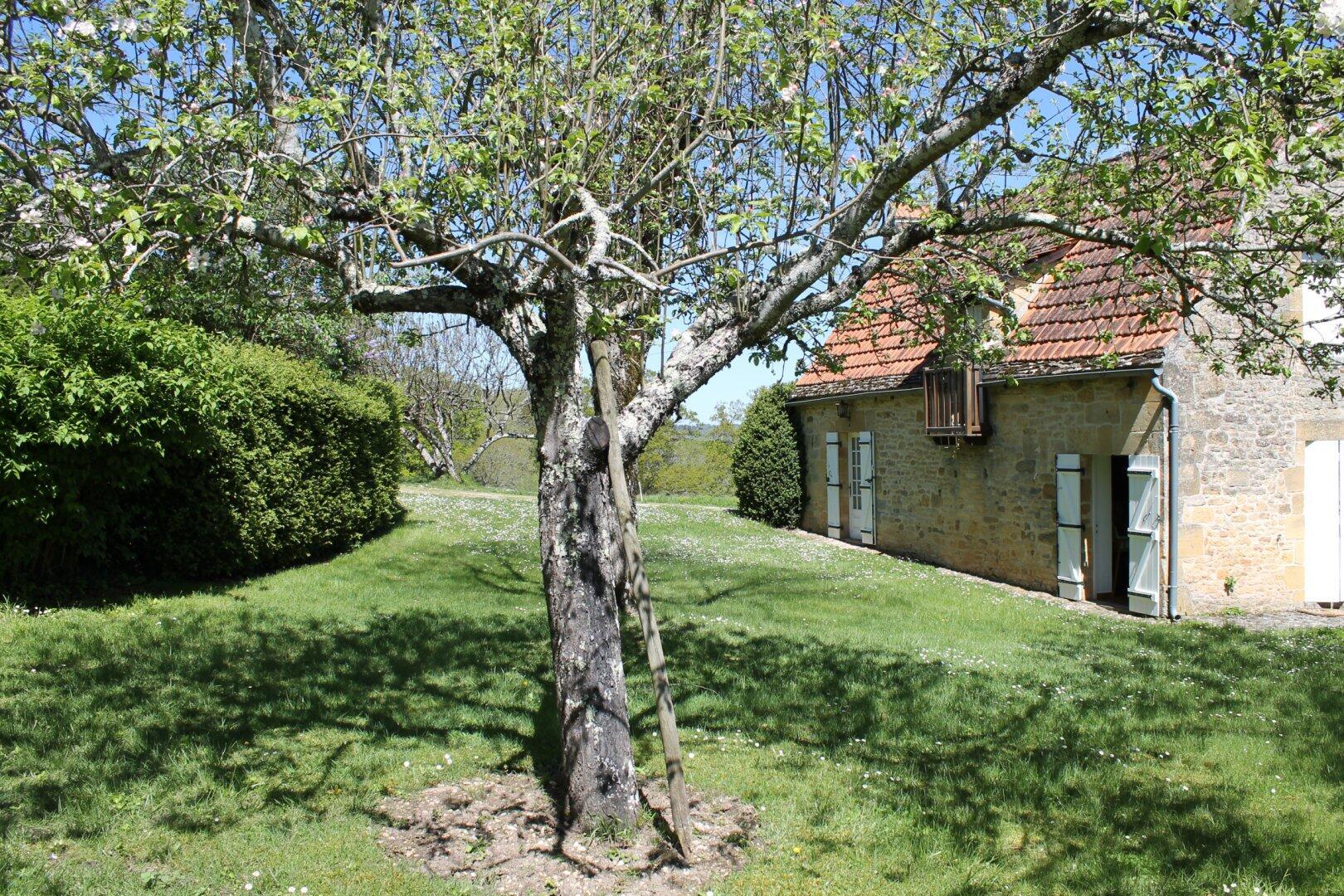 La Petite Fumélie climatisée proche de Sarlat, Marquay - photo 3