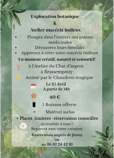 Exploration botanique & création de macérât huileux — visuel événement