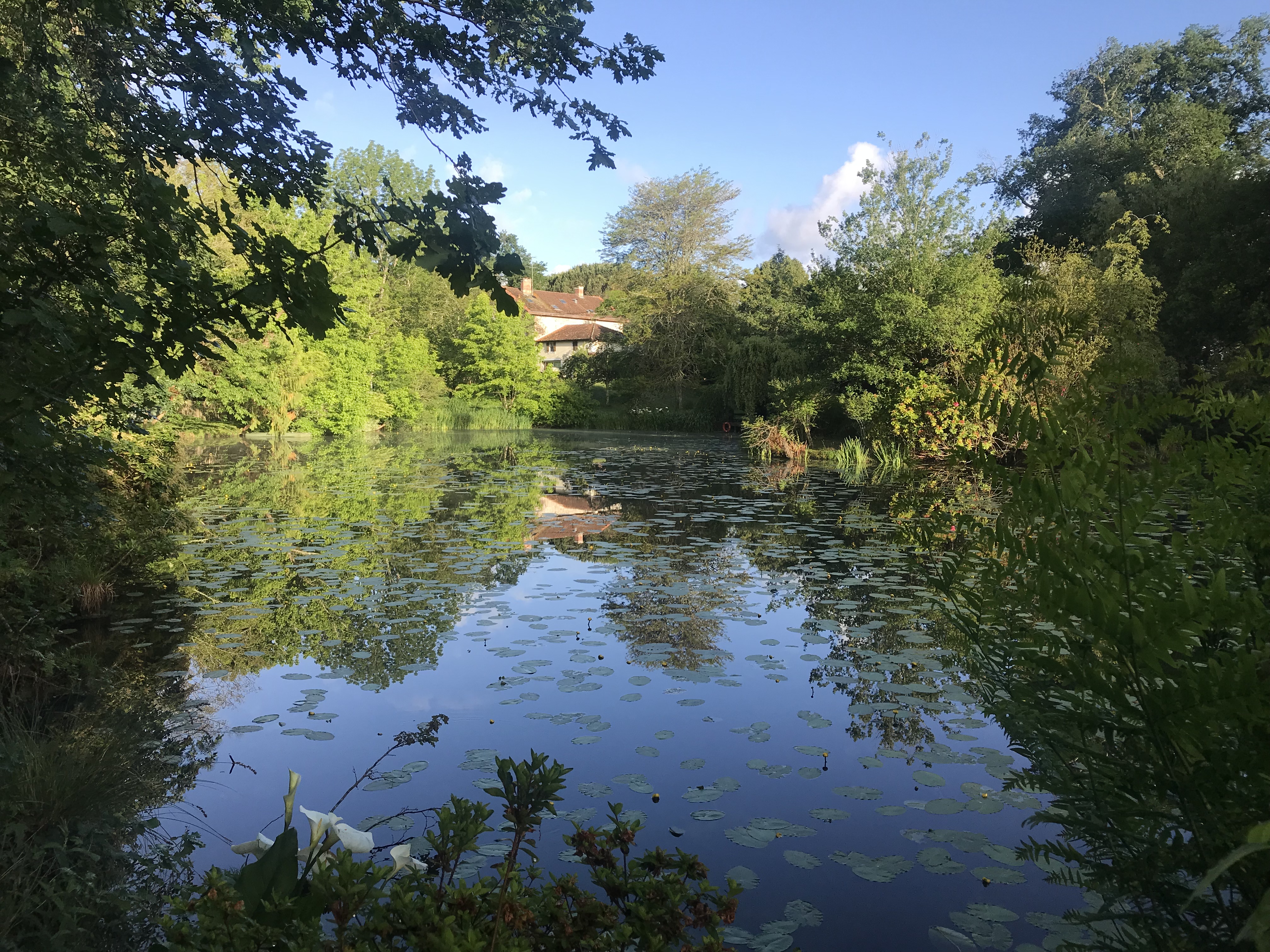 Le Cantoy, Linxe - photo 7