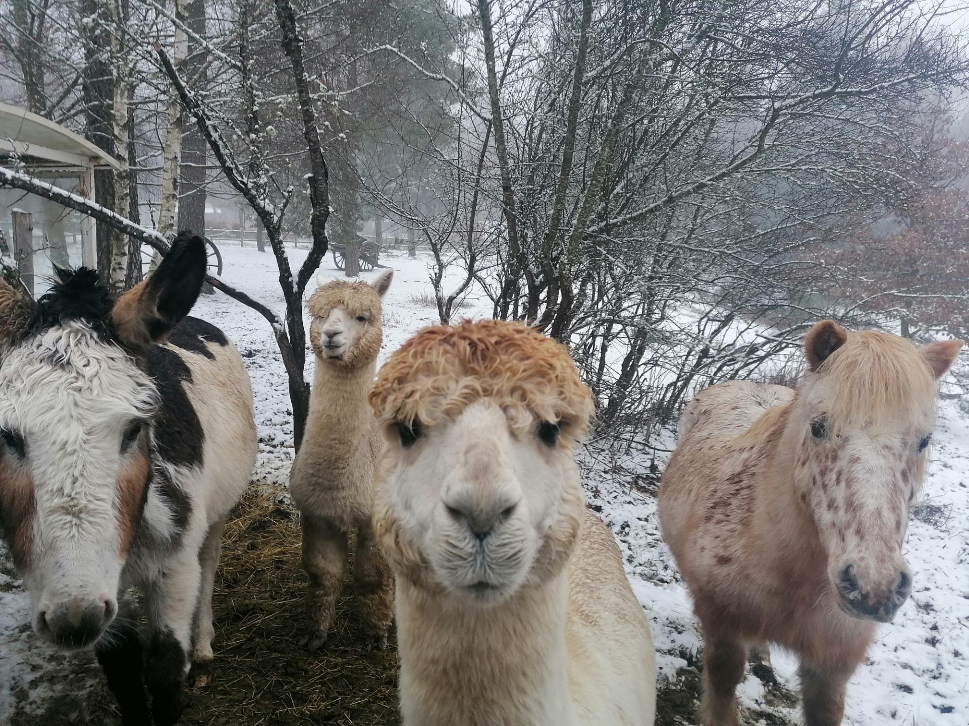 Camping Aux portes des Mille Sources, Bugeat - photo 14
