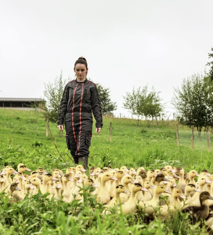 Portes ouvertes à la découverte des producteurs de Foie gras à Mauries