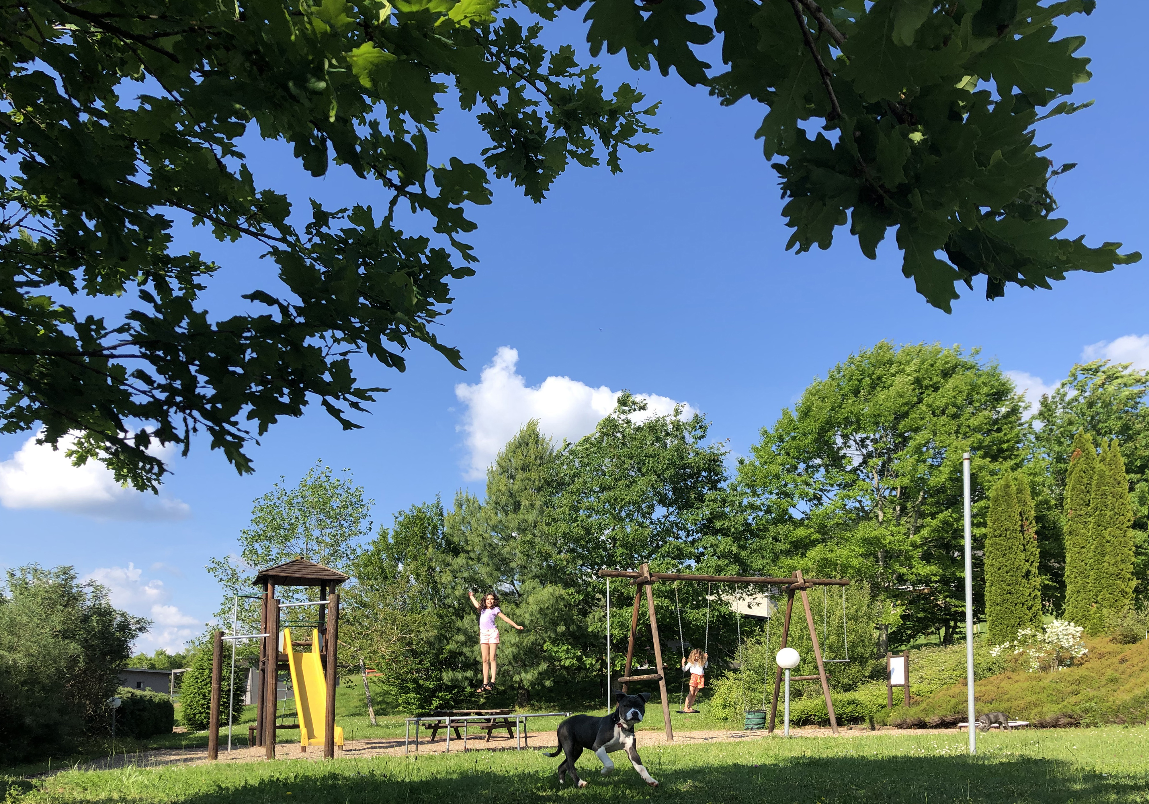 Domaine la Chapelle en Corrèze, La Chapelle-aux-Brocs - photo 12