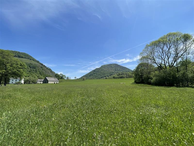 N°9 Barétous - Vallon de Lourdios
