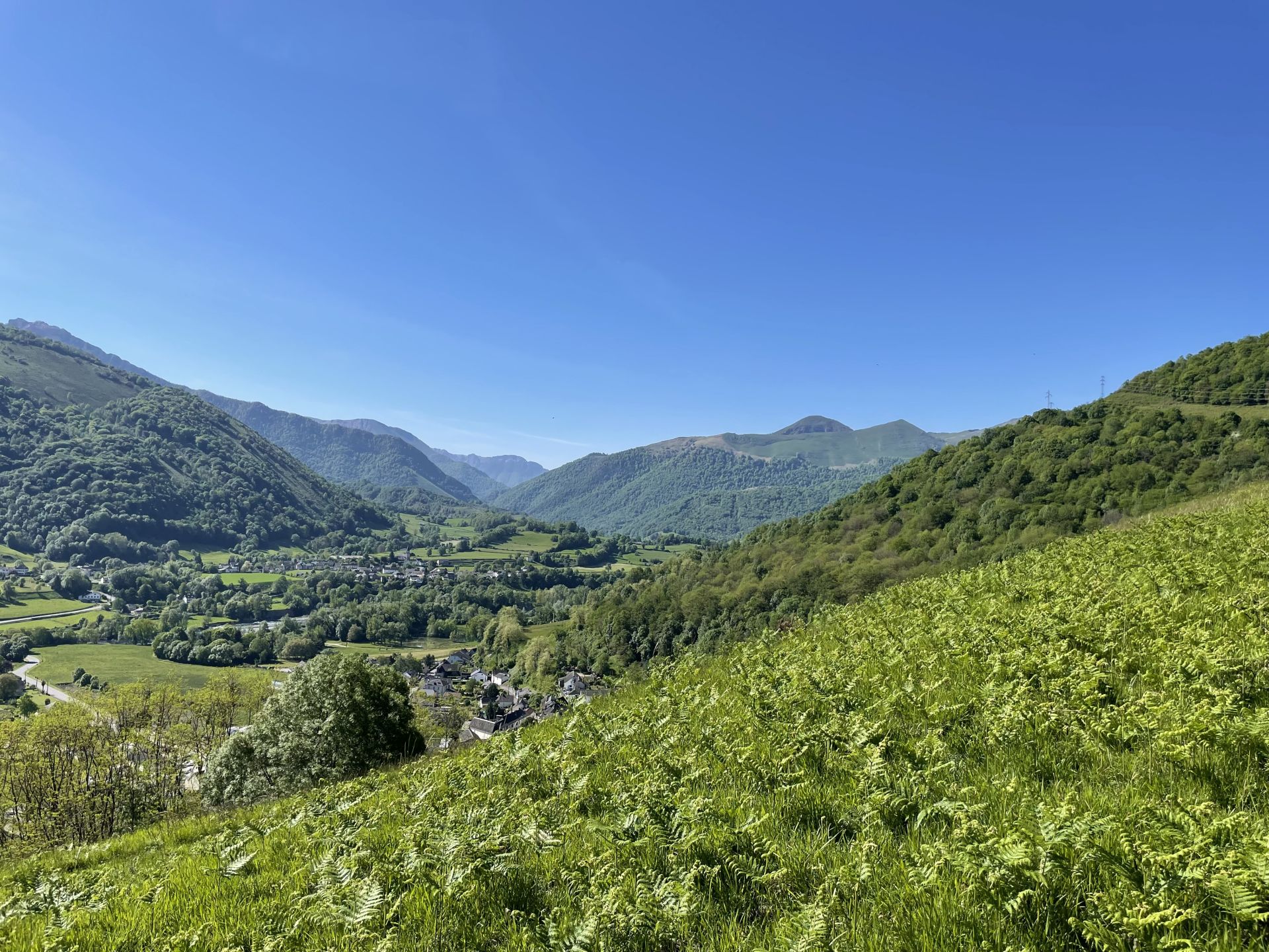 N°84 Castets, Asasp-Arros - photo 4