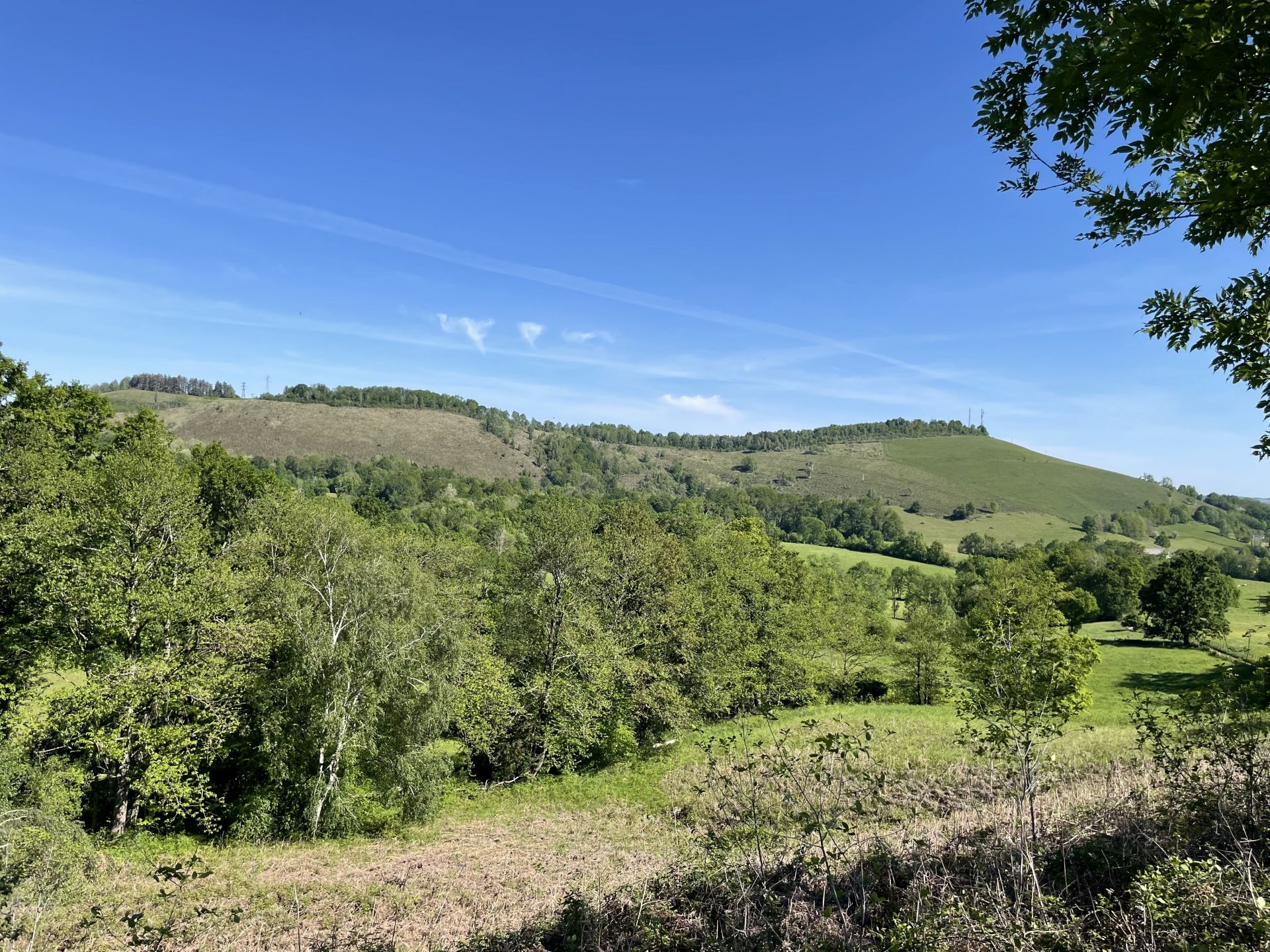 N°84 Castets, Asasp-Arros - photo 2