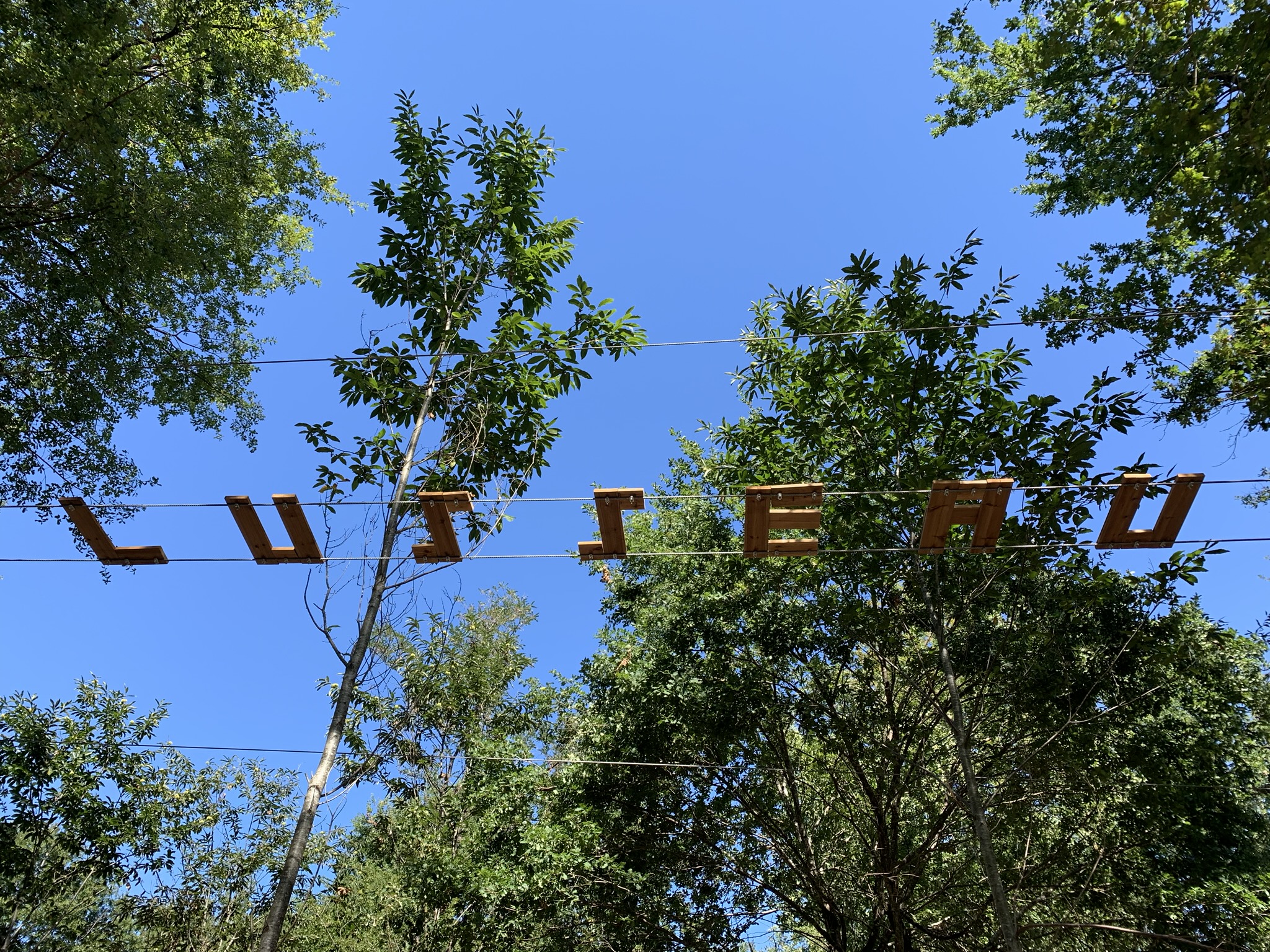 Graves Accro - photo 3