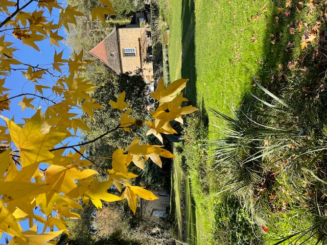 Les Ocelles de Sarlat - photo 4