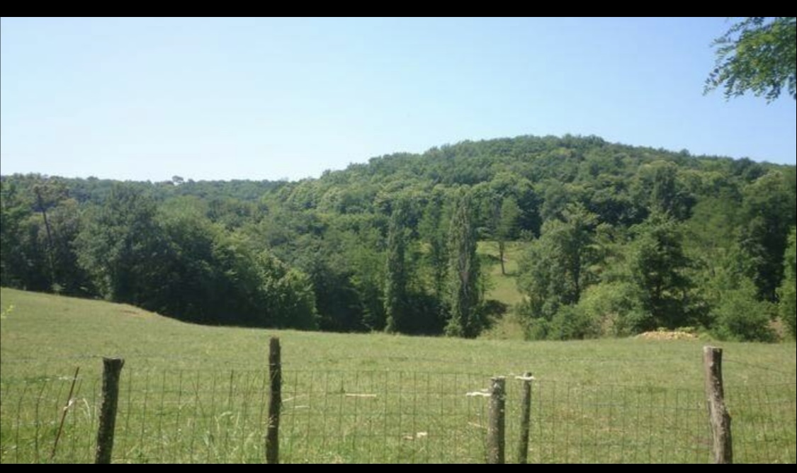 Gîte Peyrelade, Carlux - photo 3