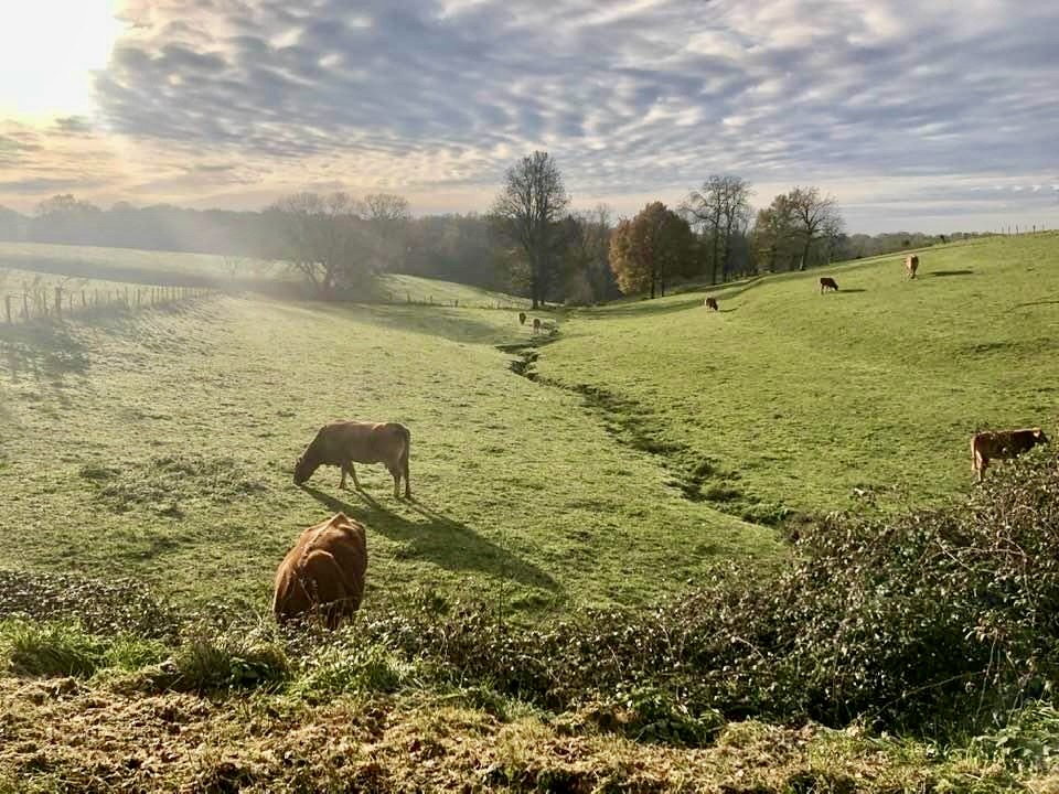 Le Charme du Périgord, Saint-Sulpice-d'Excideuil - photo 6