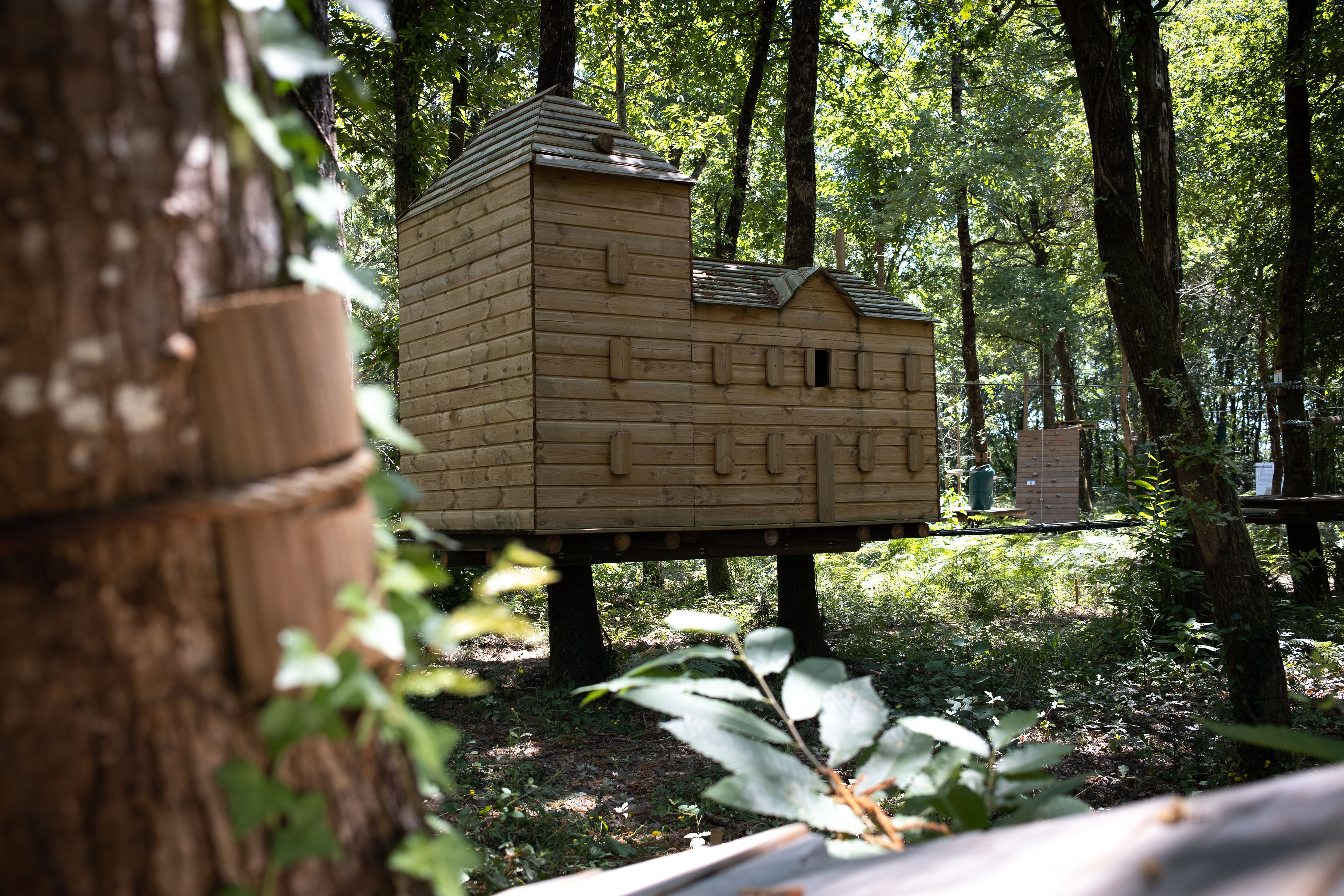 Graves Accro - photo 4