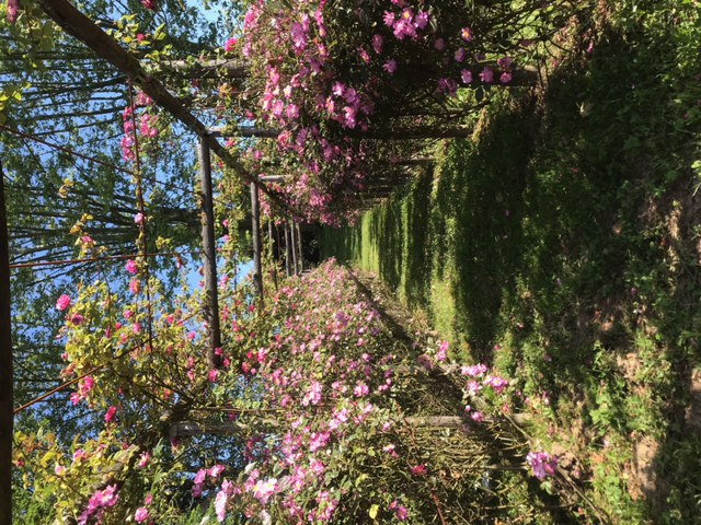 Roseraie du Pourtaou