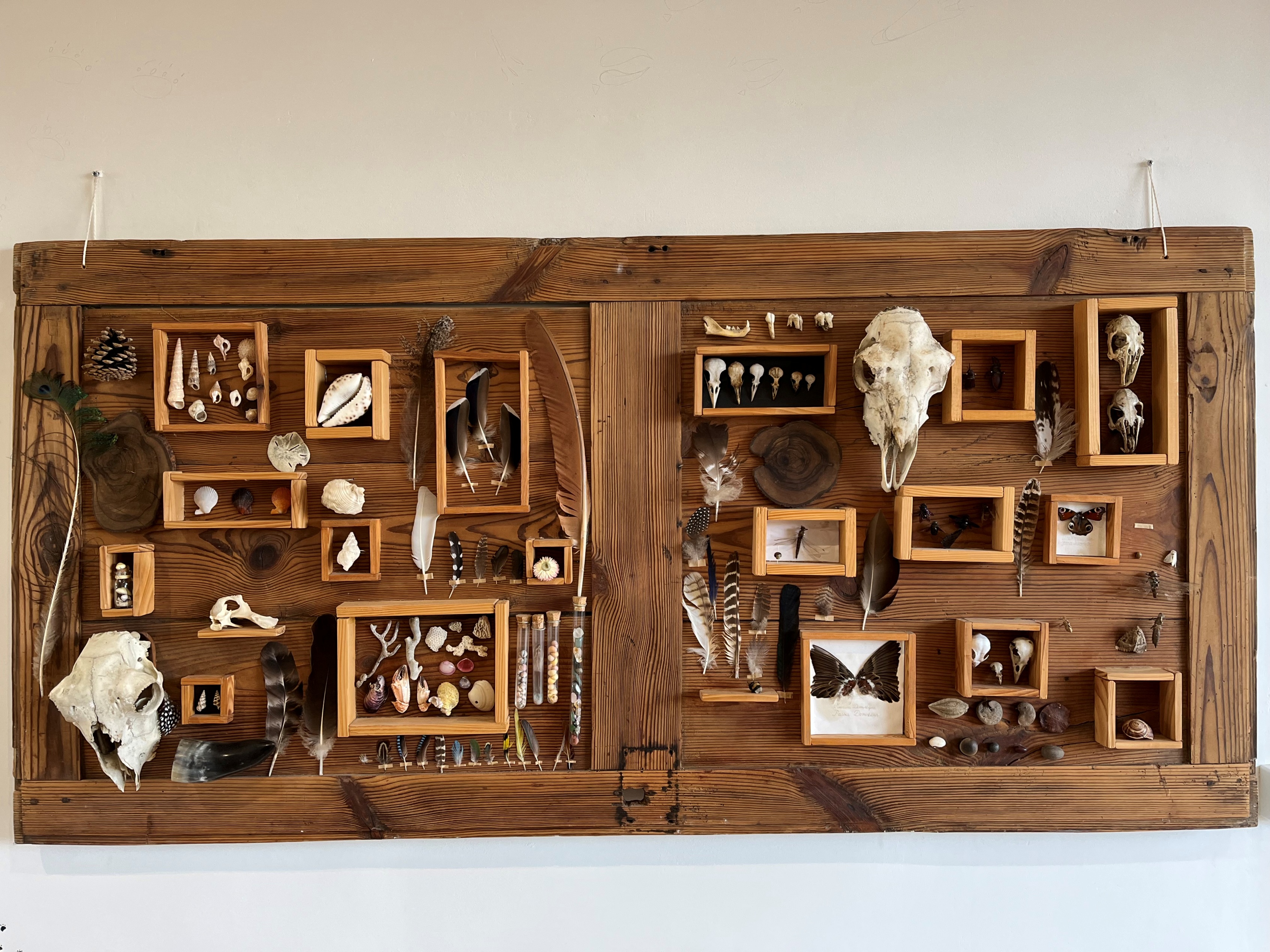 Curiositae, Coussac-Bonneval