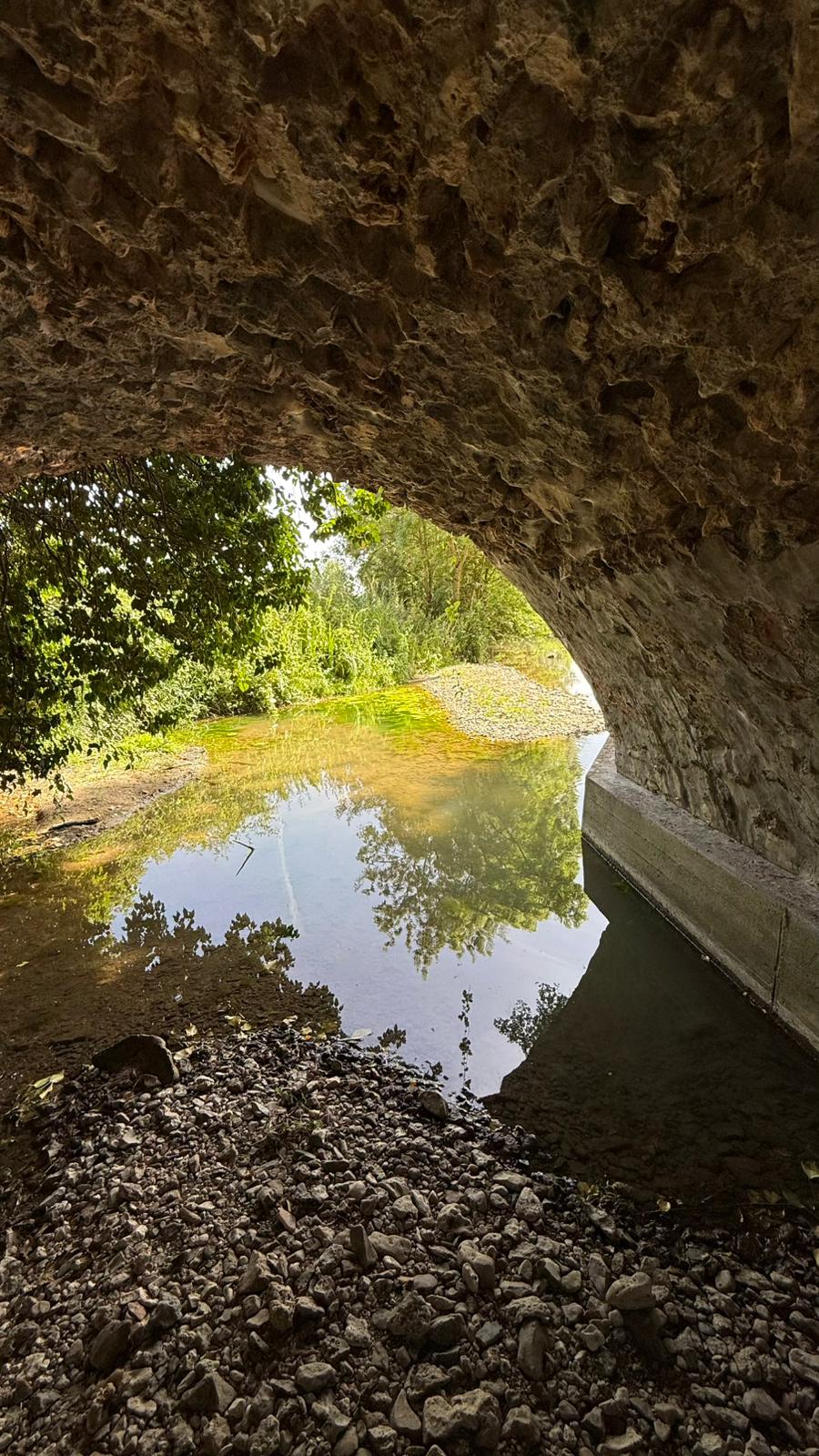 La Grange, Lésigny - photo 13