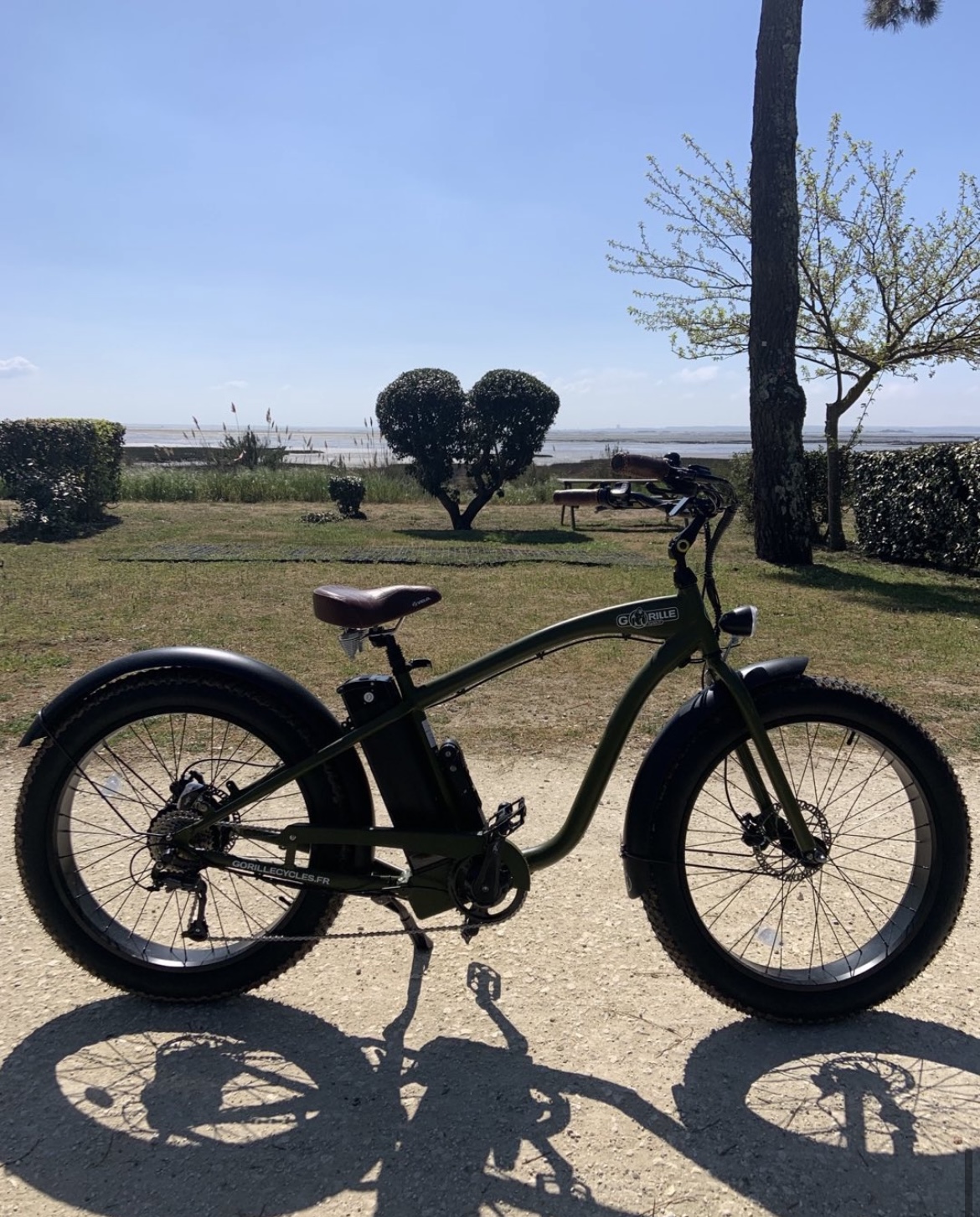Locbike - Les Pastourelles — photo 2