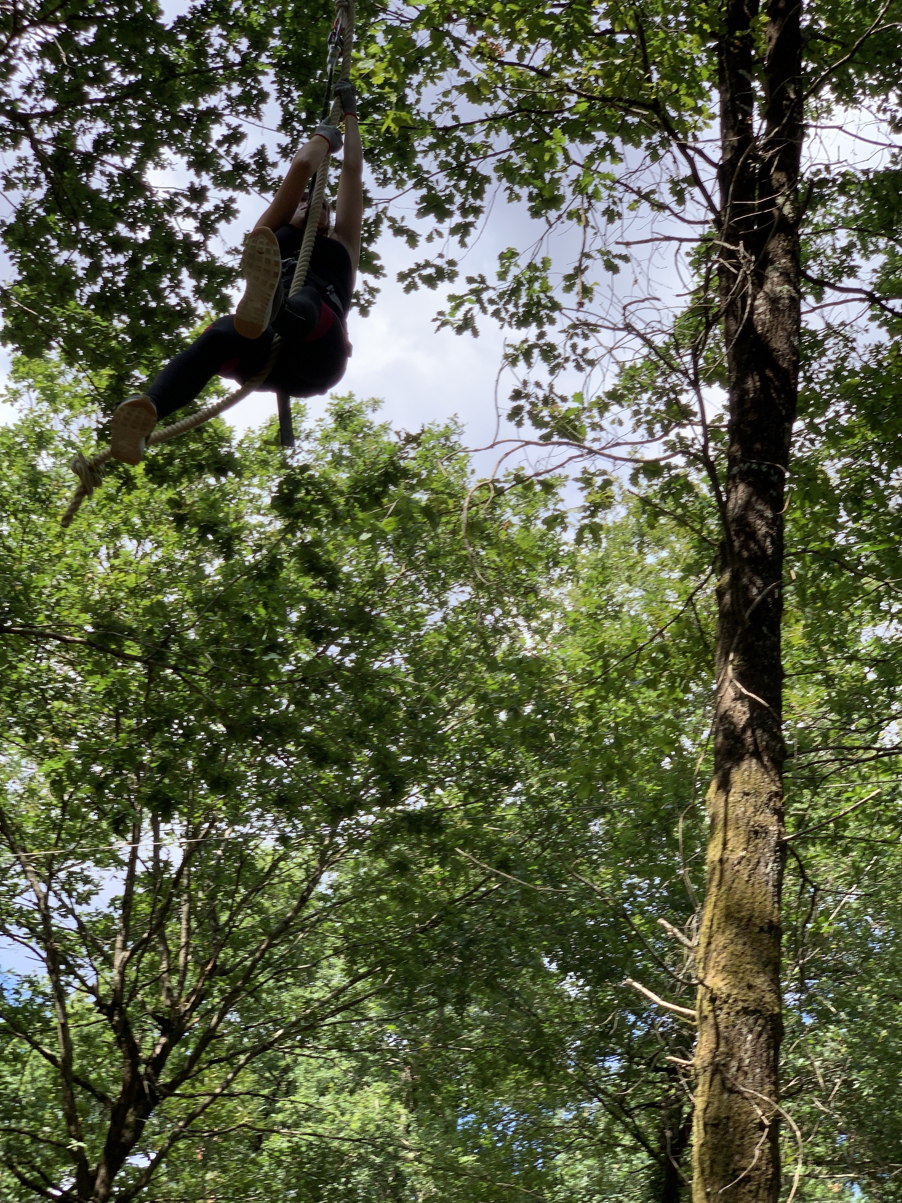 Graves Accro - photo 2