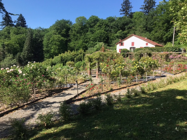 Roseraie du Pourtaou, Cauneille - photo 4