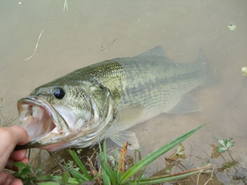 Les Eaux de Queyssac, Queyssac - photo 7