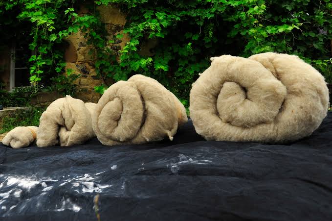 Atelier d'initiation au feutrage de la laine en famille