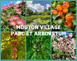 Parc Touristique Mouton Village, Vasles - photo 12