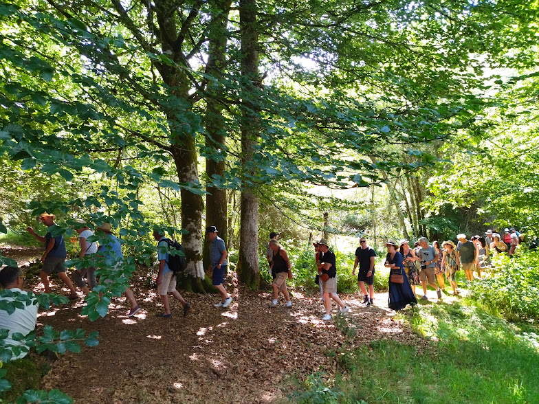 Sortie mycologique — visuel événement