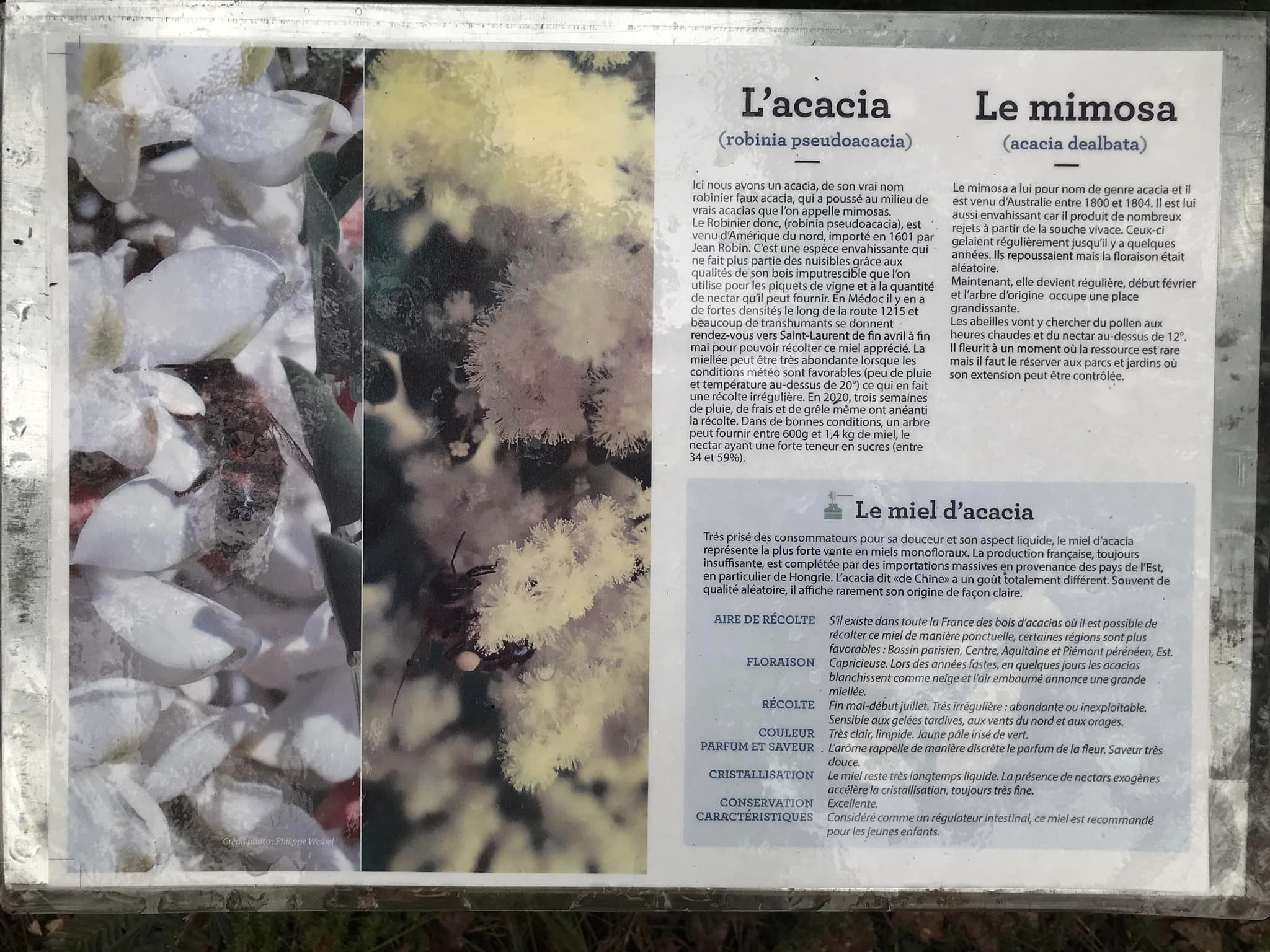 Le Sentier de l’abeille de Benon