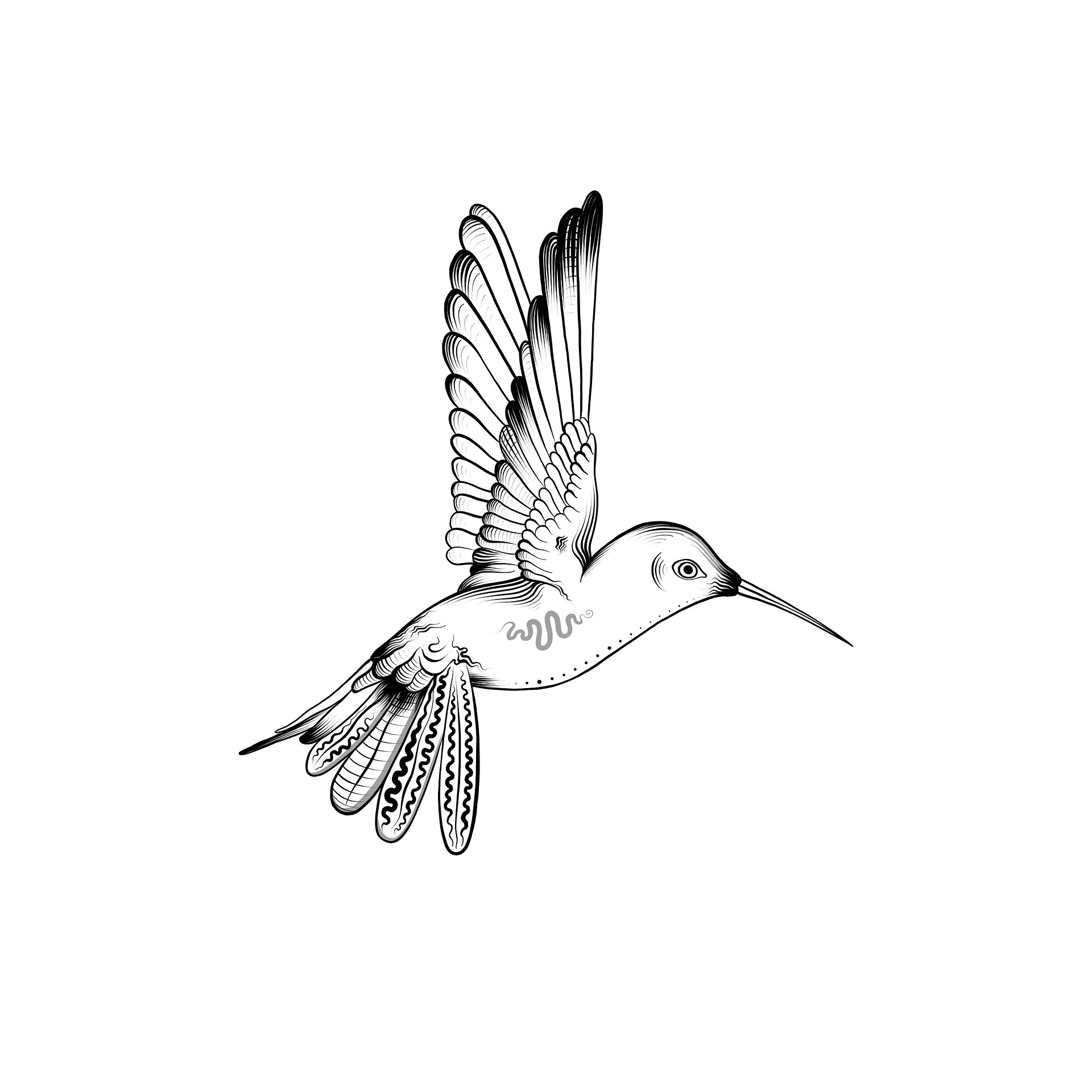Stage d'initiation au dessin naturaliste