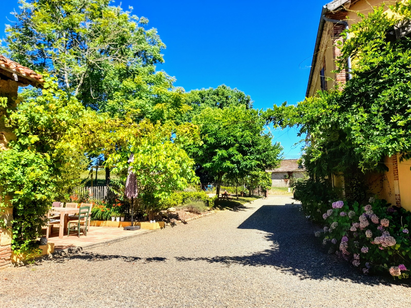A la Vieille Ecole, Monségur - photo 8