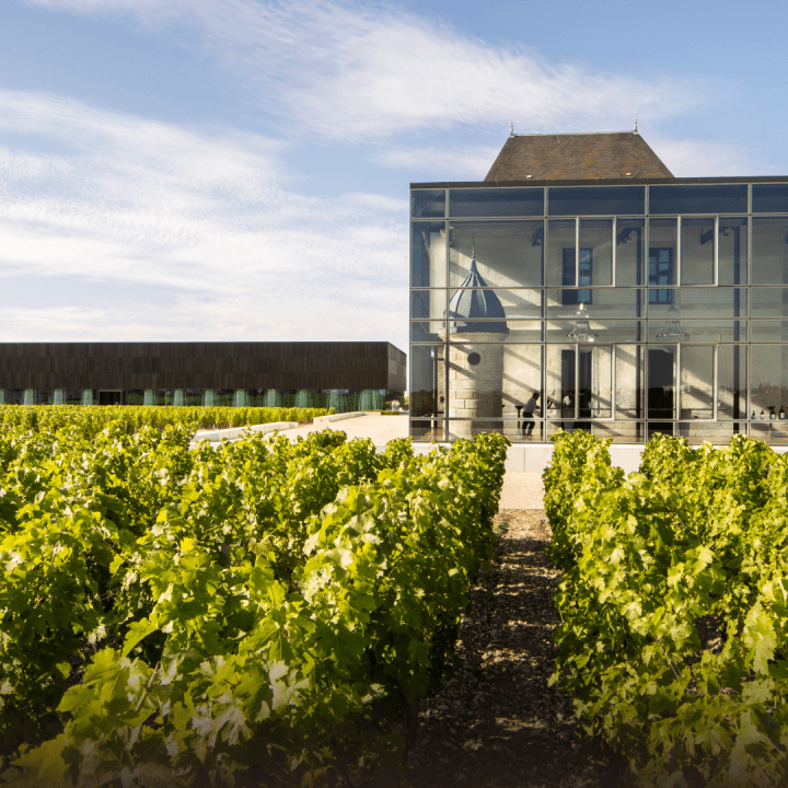 L'Accord Vins & Chocolats du Château Pédesclaux