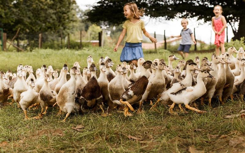 Parcours découverte à la ferme Arnabar