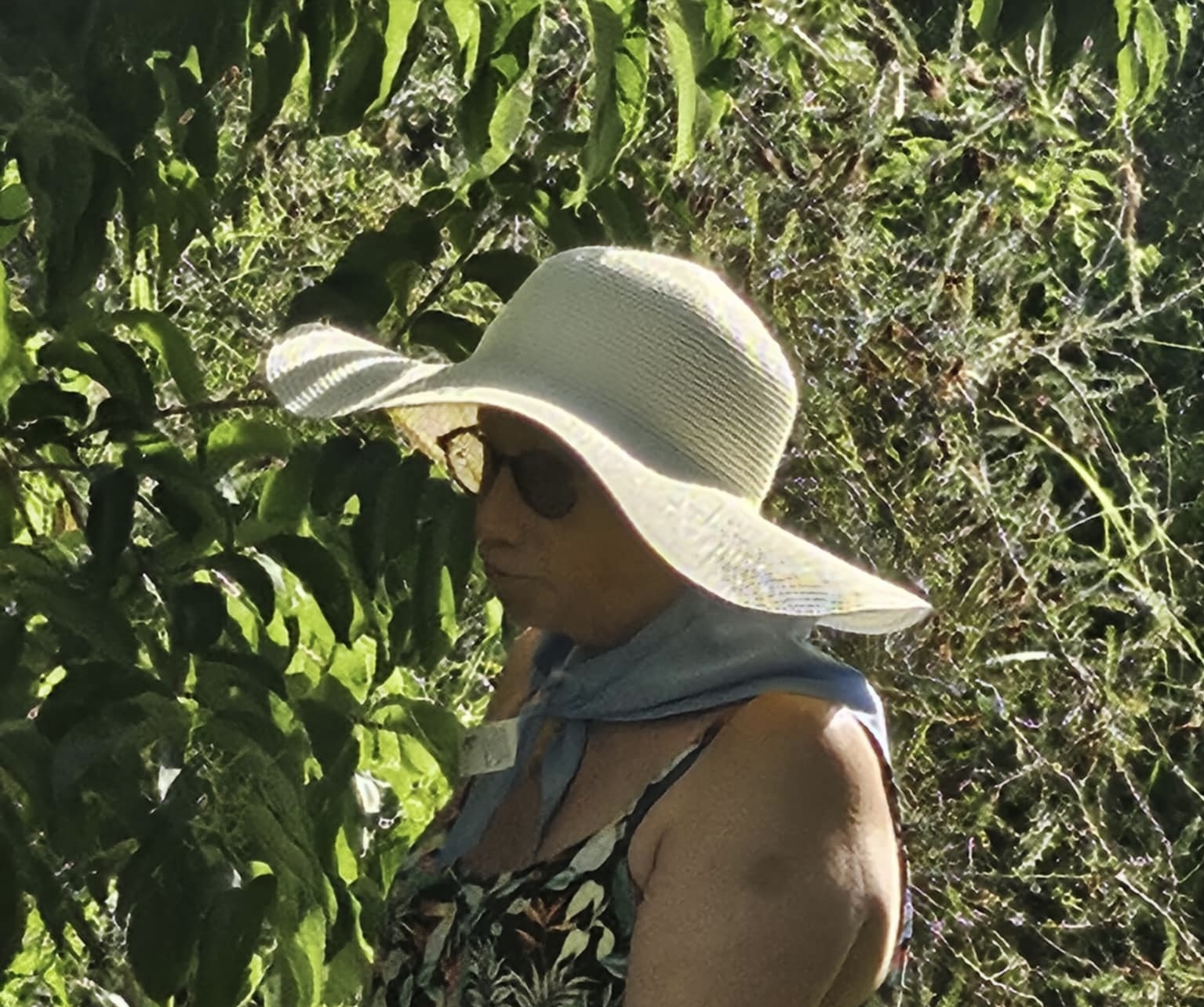 Isidra, au jardin de Termi à Laurède