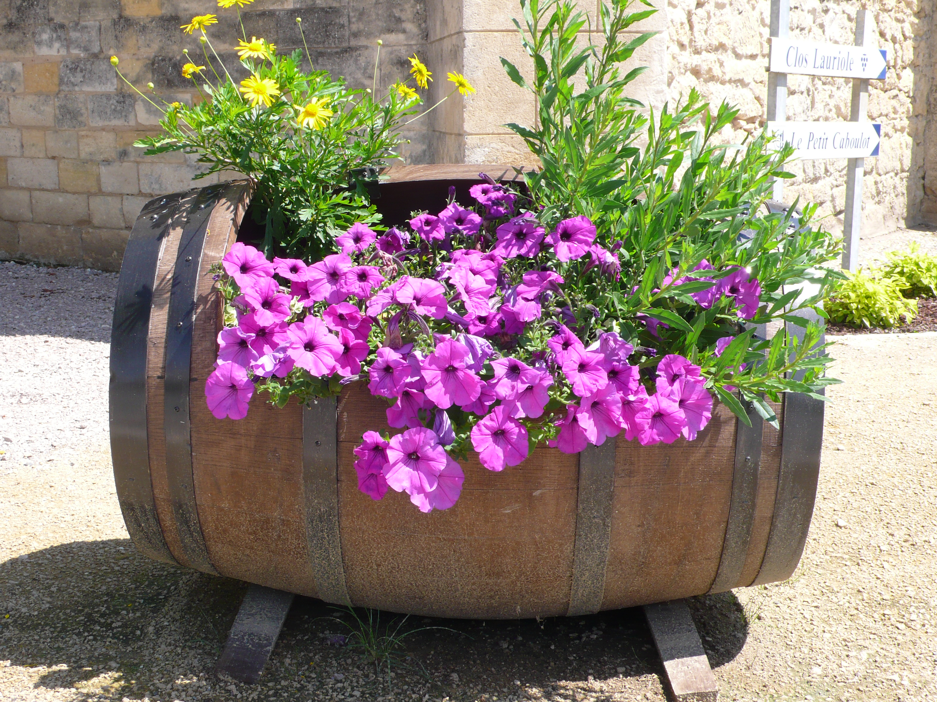 Village d'Isle-Saint-Georges, Isle-Saint-Georges - photo 2