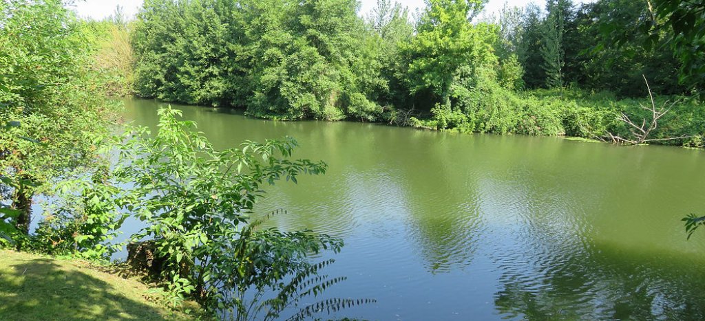 Charmes de l'Isle, Saint-Front-de-Pradoux - photo 8