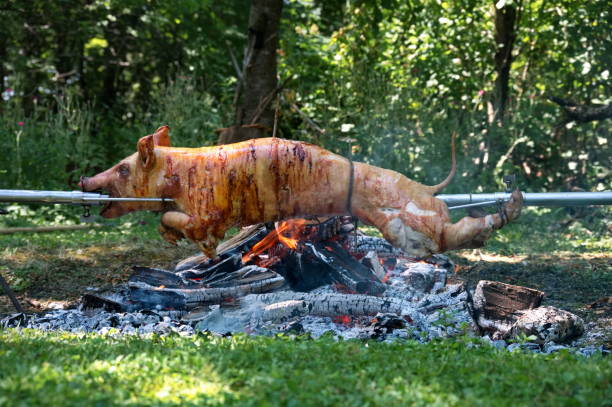 Repas champêtre