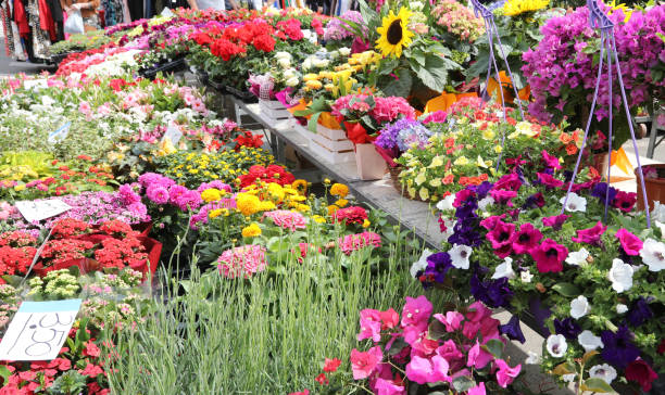 Marché printanier